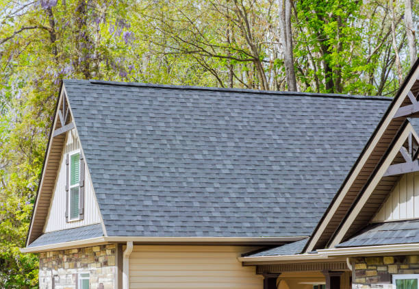 Best Solar Panel Roofing Installation  in Lla Lla East, WA